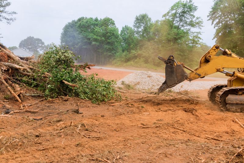 Heavy Equipment Clearing a Site