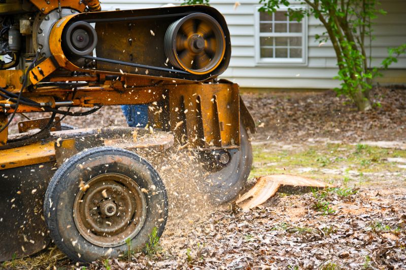 Debris and Stump Grinding