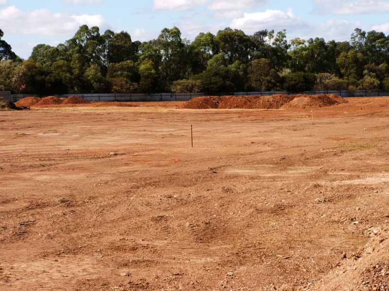 Site Grading and Leveling