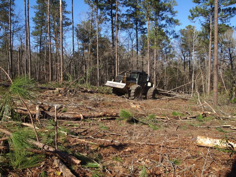 Experienced Land Clearing Crew