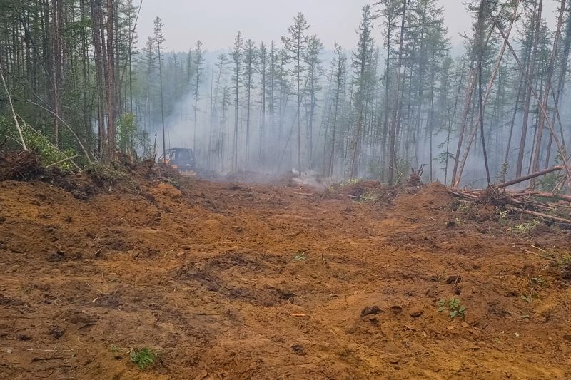 Land Clearing Vehicles