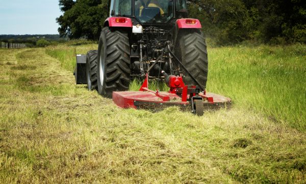 Brush Clearing Service in Brownsburg