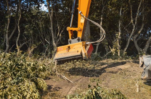 Brush Removal Service in Brownsburg
