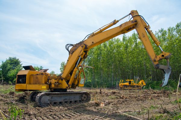 Cost of Farm Clearing in Brownsburg