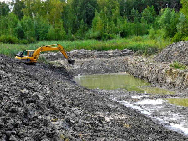 Cost of Lake Lot Clearing in Brownsburg
