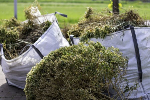 Bushes Clearing in Brownsburg