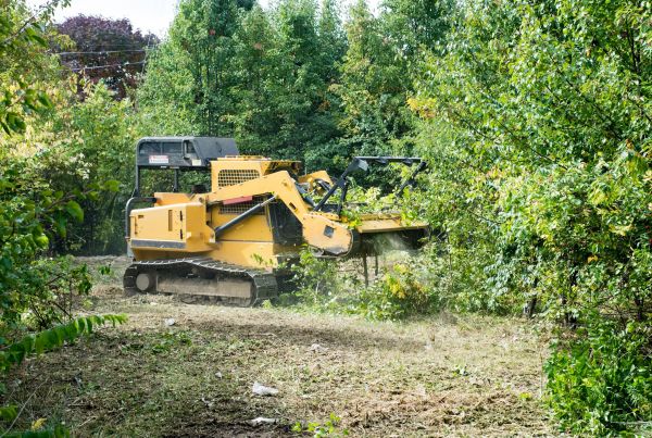 Cost of Pathway Clearing in Brownsburg