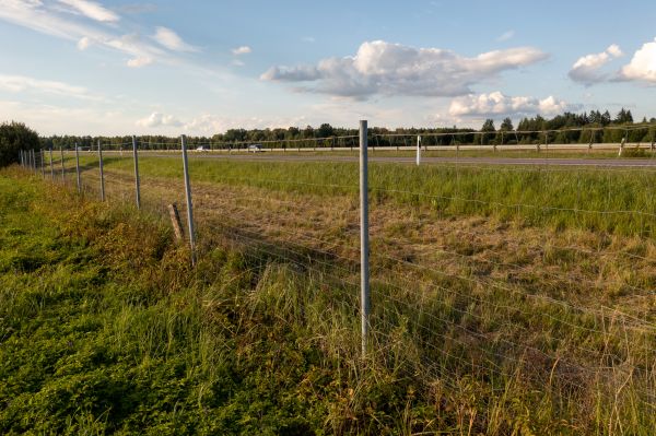 Cost of Property Line Clearing in Brownsburg