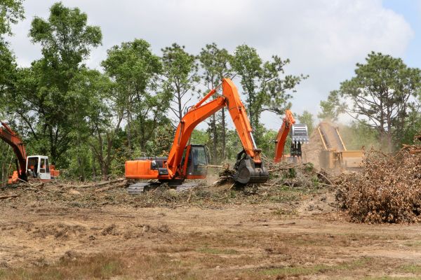 Cost of Commercial Lot Clearing in Brownsburg