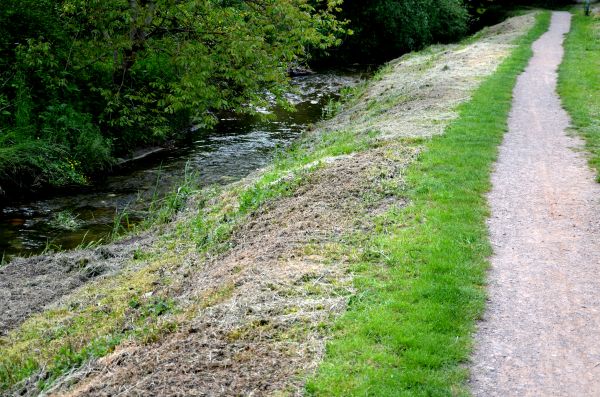 Cost of Trail Cutting in Brownsburg